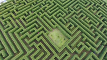Dentro del laberinto de Villapresente